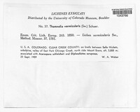 Image Associated With the Occurence